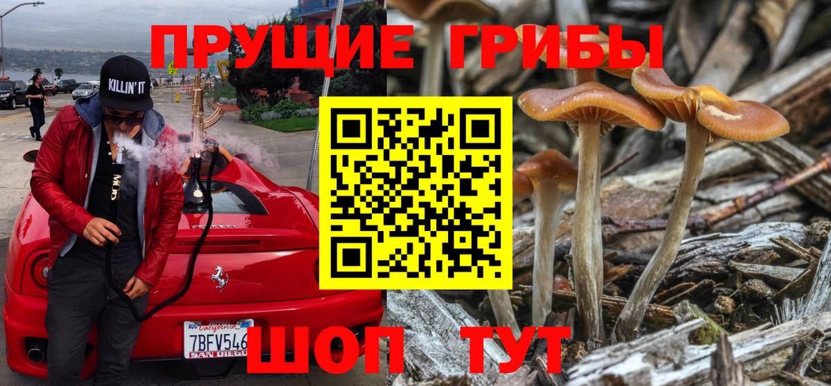 Псилоцибиновые грибы Psilocybine cubensis  Вход с VPN  Галлюциногенные грибы Psilocybe  что такое наркотик  Торжок 