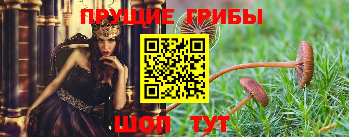 Псилоцибиновые грибы MAGIC MUSHROOMS Торжок